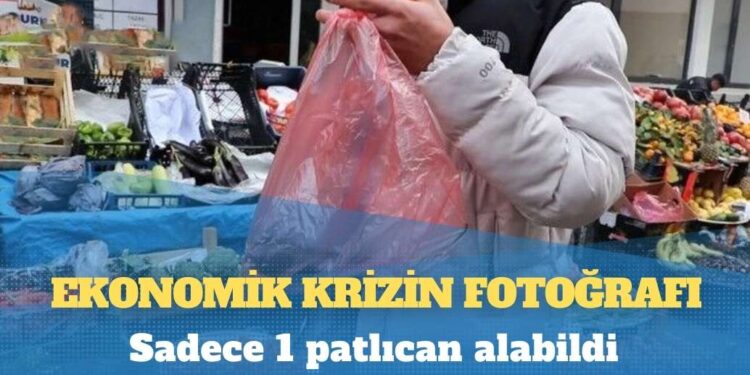 Ekonomik krizin fotoğrafı: Sadece 1 patlıcan alabildi