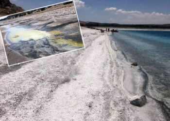Salda Gölü alarm veriyor: 5 yılda 3 kilometrekarelik yüzey alanı kayboldu