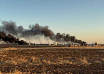 Sanatçılardan çağrı: Rojava'ya sahip çıkalım