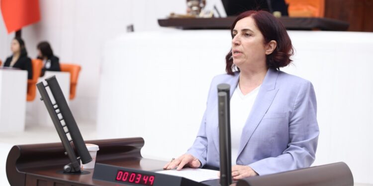 Sevilay Çelenk: Rojava’daki direnişin yanında olacağız