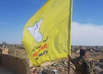 Sosyalist partiler: Rojava'da geliştirilen demokratik sistemi savunmalıyız