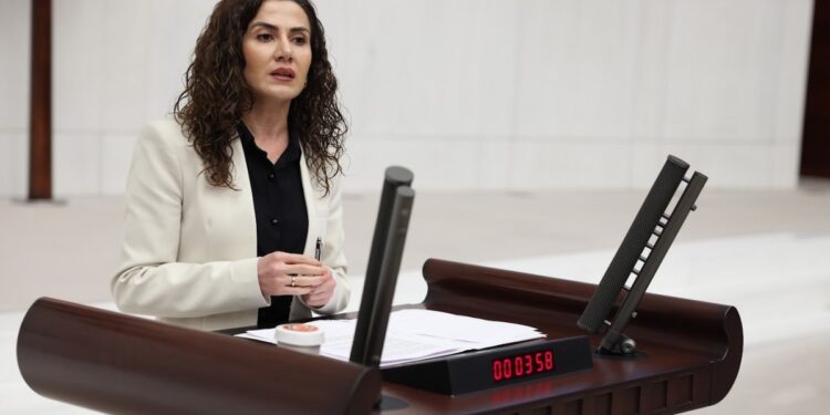 Sümeyye Boz: Halkın bütçesi savaşa ayrılıyor