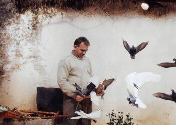 Tecride Karşı Adalet Girişimi İstanbul’da buluşma düzenleyecek