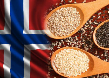 Türkiye'den Alınan Susam Tohumlarında Salmonella Çıktı! Norveç Geri Gönderdi, Acilen Dağıtımını Durdurdu