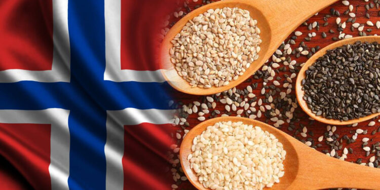 Türkiye'den Alınan Susam Tohumlarında Salmonella Çıktı! Norveç Geri Gönderdi, Acilen Dağıtımını Durdurdu