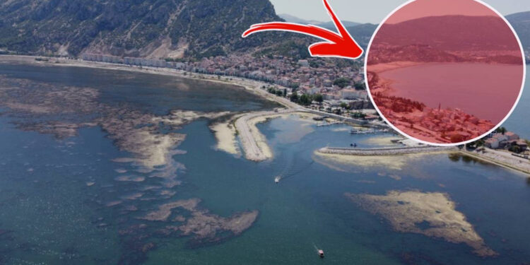 Türkiye’nin Can Suyunda Felaketin Eli Kulağında! ‘Böyle Giderse İkiye Bölünecek’ Diyerek Uyardı