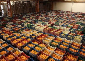 Türkiye'nin ihraç ürünlerinde tehlikeli maddeler; gıda güvenliği alarm veriyor!