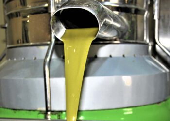 Üreticimize destek olmak için zeytin sıkım ücretini 2 lira 25 kuruş olarak belirledik