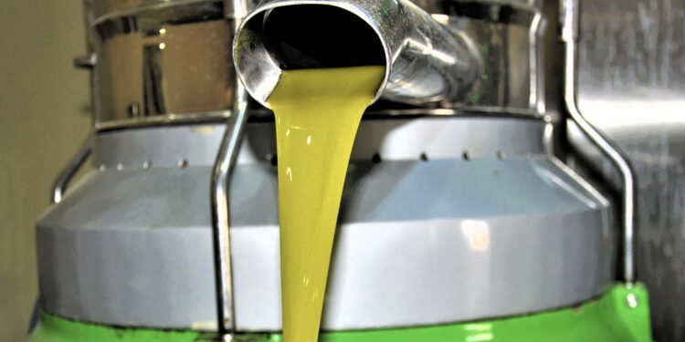 Üreticimize destek olmak için zeytin sıkım ücretini 2 lira 25 kuruş olarak belirledik