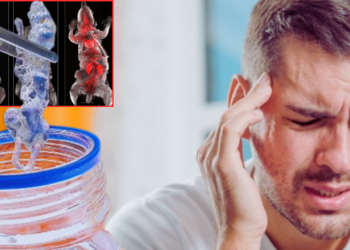 Ürküten Araştırma: Kafatasında Çöp Gibi Birikip Sinsice Beyne Sızıyor