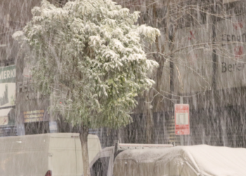 Van'da Kar Yağışı! Karayolu Trafiğe Kapatıldı, Okullar Tatil İlan Edildi