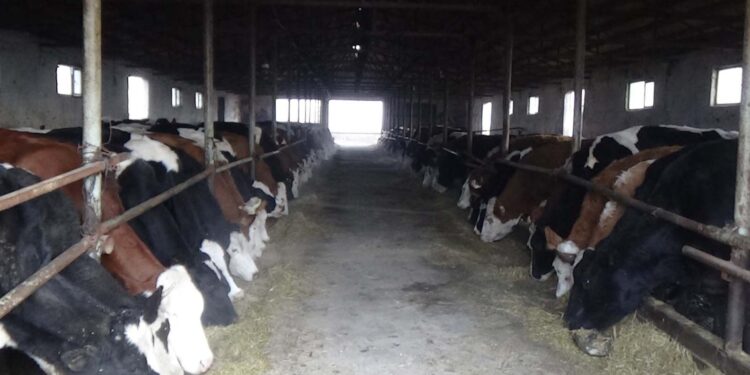 Yeni yılda süt alım fiyatı 20 lira olmalıdır