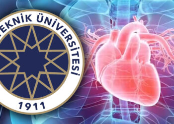 Yıldız Teknik Üniversitesi'nden Dünyada Bir İlk! Koyun Kalbinden İnsan Kalbine...