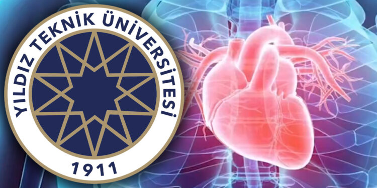 Yıldız Teknik Üniversitesi'nden Dünyada Bir İlk! Koyun Kalbinden İnsan Kalbine...
