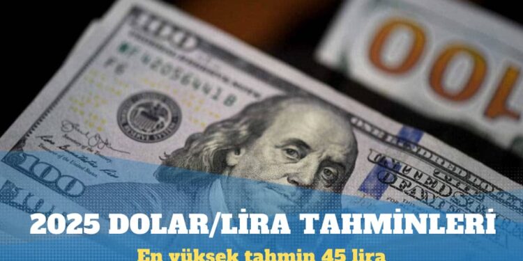 Yabancı bankaların 2025 dolar/lira tahminleri