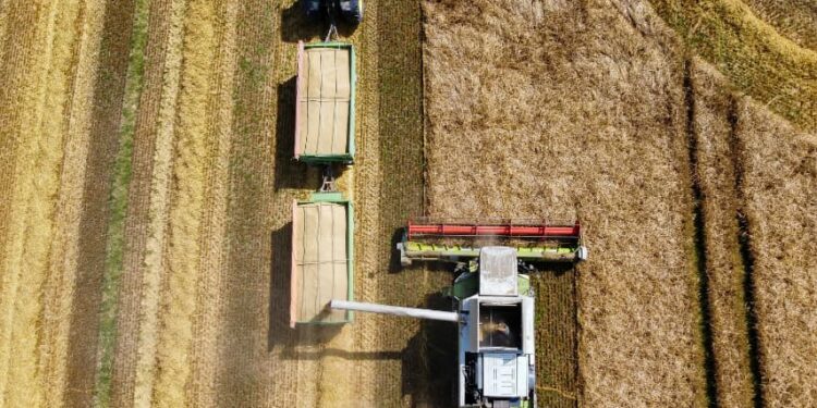 Tahıl üretimi geriledi