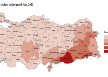 10 il, nüfusunu yenileme yeterliliğine sahip
