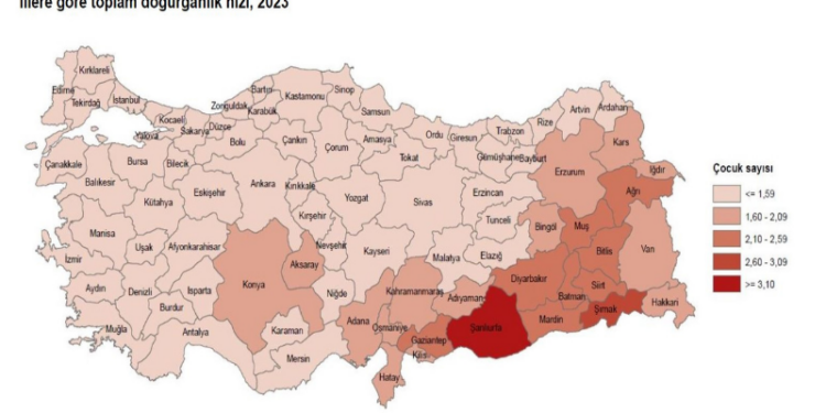 10 il, nüfusunu yenileme yeterliliğine sahip