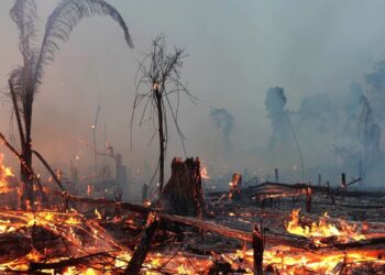 Los Angeles’da ölü sayısı 16’ya çıktı