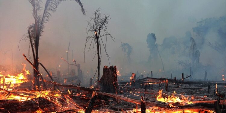 Los Angeles’da ölü sayısı 16’ya çıktı