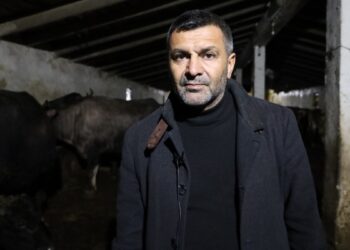 Maliyet artıyor, hayvancılık bitiyor