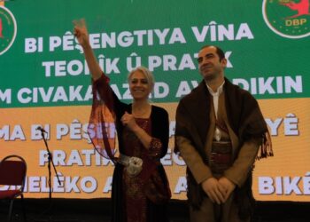 DBP mevcut eş genel başkanlarla yola devam edecek