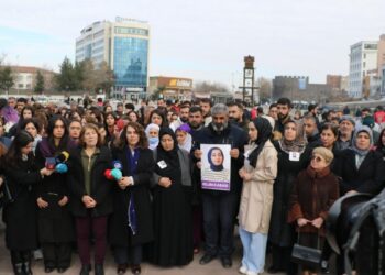 Rojin Kabaiş’in ailesi: Katlettikten sonra suya attılar