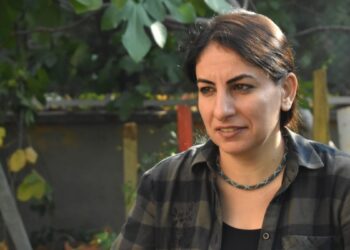 DEM Parti’li Eşbaşkan Sofya Alağaş’a ceza talebi