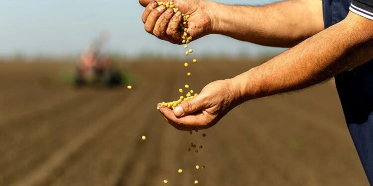 Tarımsal girdi fiyatları yıllık yüzde 41,64 arttı