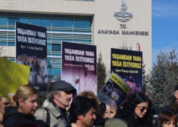 Hayvanların katledilmemesi için AYM’ye 100 bin imza ile başvuru | YENİLENDİ