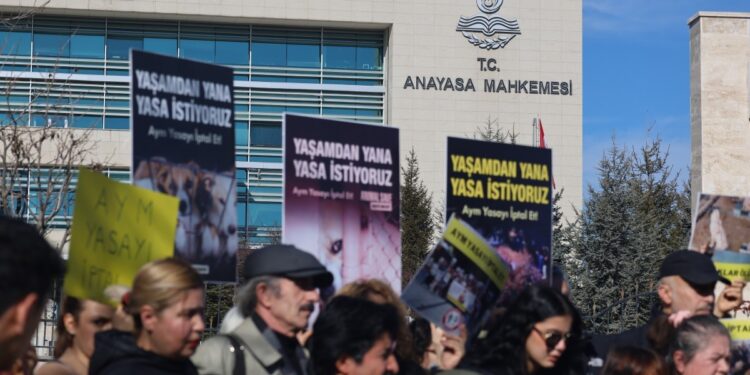Hayvanların katledilmemesi için AYM’ye 100 bin imza ile başvuru | YENİLENDİ