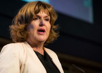 BM Raportörü Lawlor’dan Türkiye’ye ‘tutukluluk’ tepkisi