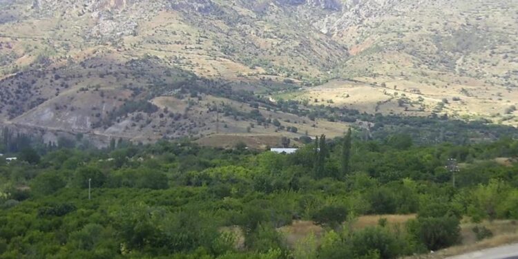 Cengiz Holding’in madenine karşı çıkan ekolojistlere soruşturma