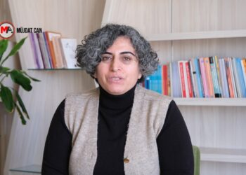Sebahat Tuncel: Süreci ‘iki devlet’in insafına bırakamayız