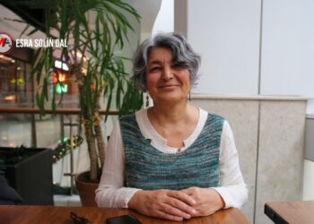 Ayşegül Devecioğlu: Sorun silah bırakmaya indirgenemeyecek kadar önemli ve ciddi