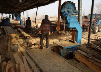 Îdirli keresteci: Yüksek enflasyon bizi eziyor