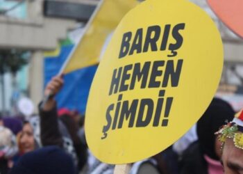 HDK ve DEM Parti toplumsal barış için kolları sıvadı