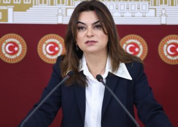 Gülistan Kılıç Koçyiğit: Meclis çözüm için hızlıca inisiyatif geliştirmeli
