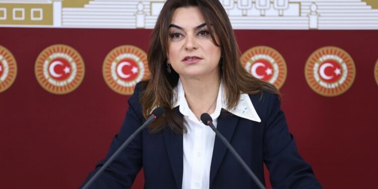 Gülistan Kılıç Koçyiğit: Meclis çözüm için hızlıca inisiyatif geliştirmeli