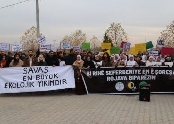 Ekolojistler Qamişlo sınırında: Rojava Ortadoğu için çözüm modeli
