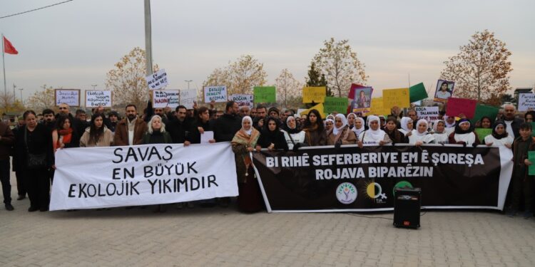 Ekolojistler Qamişlo sınırında: Rojava Ortadoğu için çözüm modeli