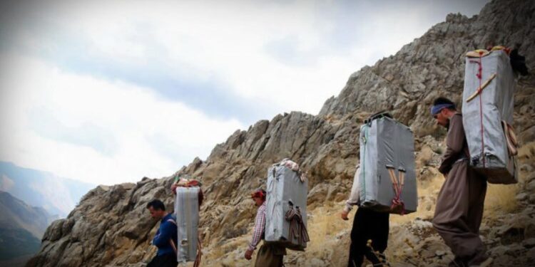 2024 yılında 59 kolber katledildi