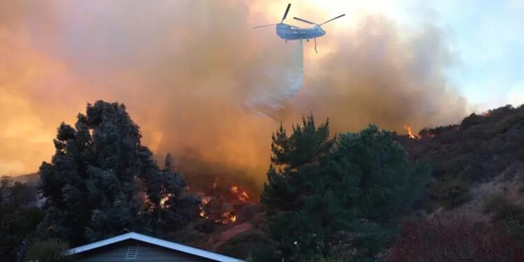 Los Angeles’te ölü sayısı 24’e çıktı