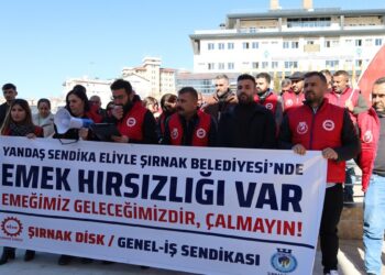 AKP’li Şırnak Belediyesi’ndeki baskı ve mobinge tepki