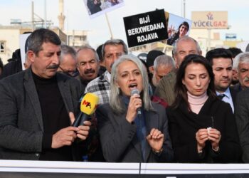 Kobanê sınırından seslendiler: Mücadele kararlılığı başarıya ulaştıracak