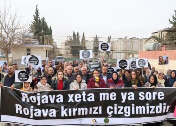 Emine Şenyaşar sınırda: Kobanê için adalet