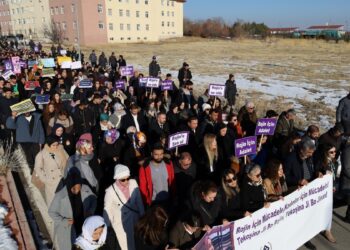 Wan’da Rojin Kabaiş için yürüyüş: Dosyadaki kısıtlılık kaldırılsın