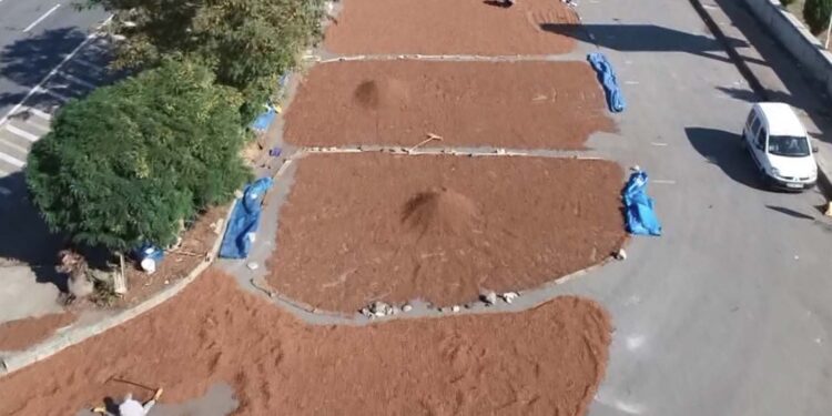 2 milyar dolar döviz girdisi sağlandı