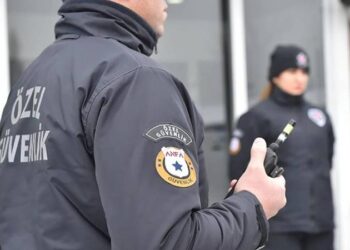 2024'te istihdamın en fazla olduğu meslekler