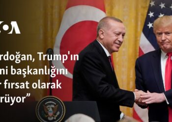 “Erdoğan, Trump’ın yeni başkanlığını bir fırsat olarak görüyor”